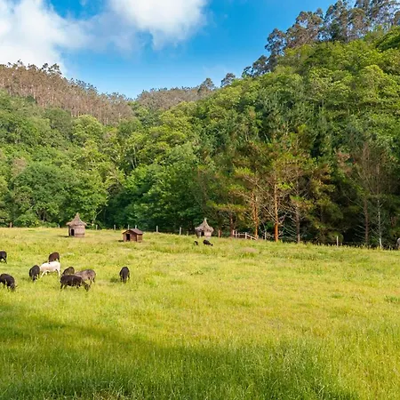 La Pousada De Boimouro 3* Piantes